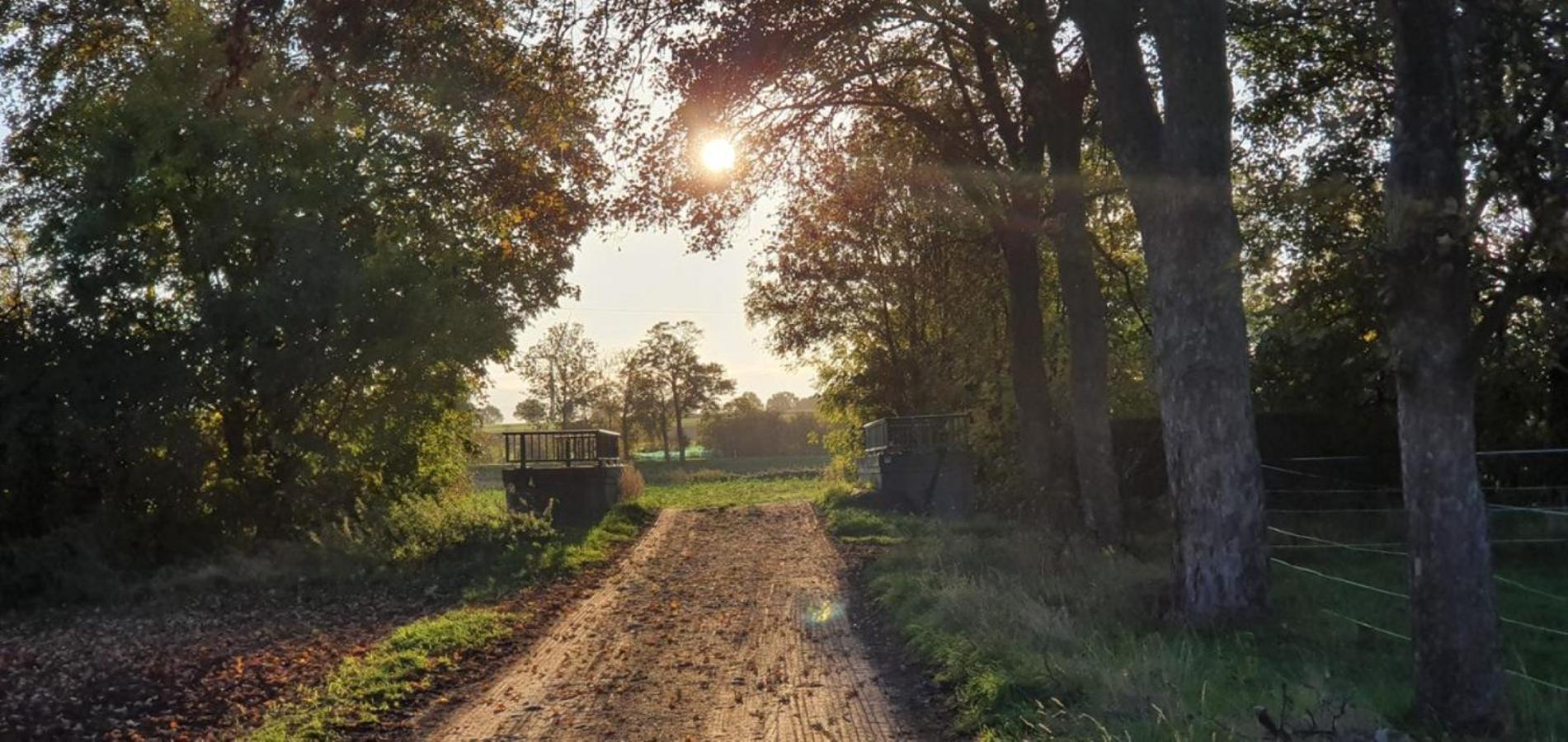 Ferienhaus Q1, Ruhe Und Erholung In Der Eifel Zulpich Exterior foto